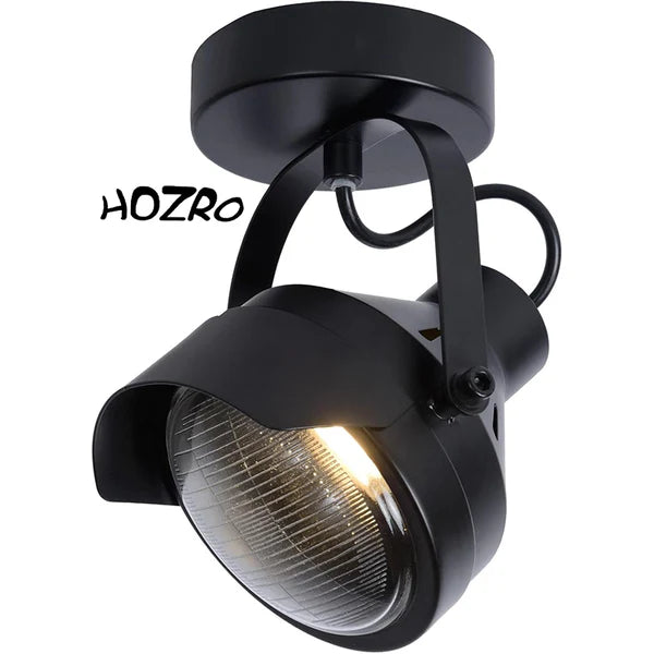 Spot luminos, HOZRO, fabricat din otel, Putere maxima 35W, directie lumina reglabila, Negru