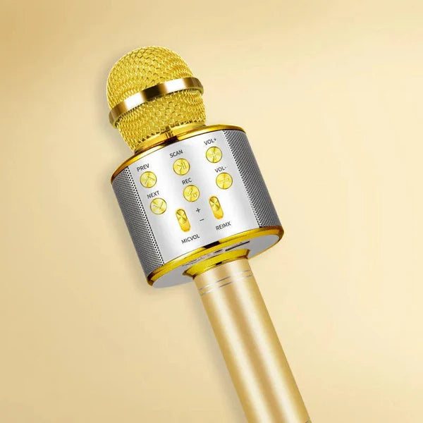 Microfon Wireless HOZRO, pentru Karaoke cu Bluetooth